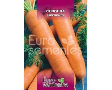 Cenoura Berlicum