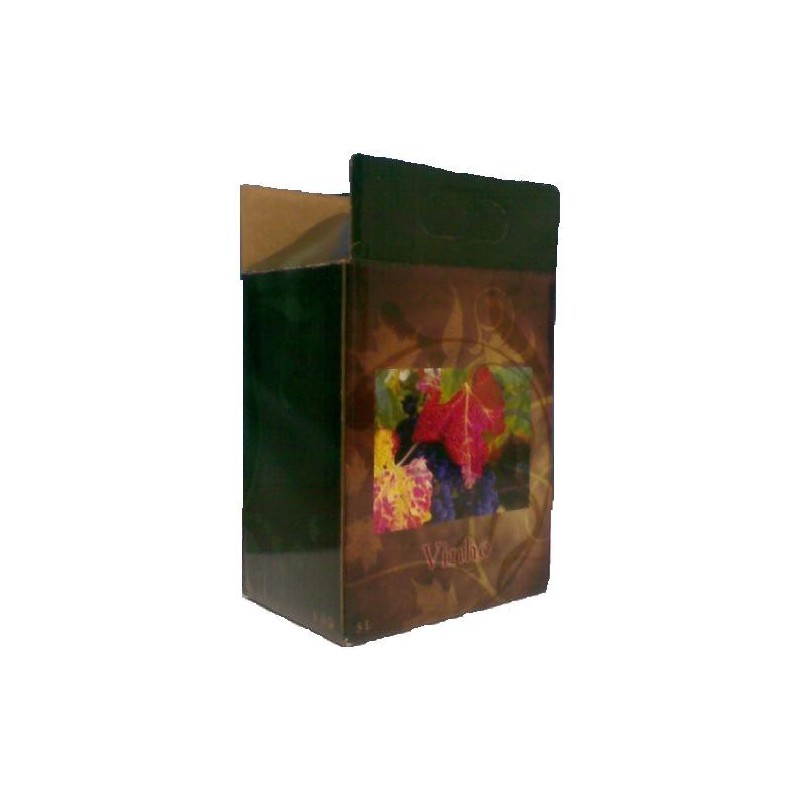 Bag in Box - Caixa Cartão 5 Lts