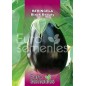 Beringela Black Beauty - 10 gr