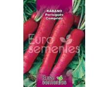 Rabano Português Comprido