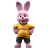 Duracell